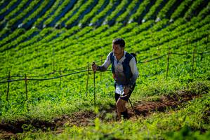 BIB: 
                            <button type="button" onclick="openModal(19160613)" class="btn btn-primary btn-sm float-right btn-popup" data-toggle="modal" data-target=".modal-high-quality">
                        <i class="fas fa-shopping-cart"></i> Add to Cart
                    </button>
                                            <button type="button" onclick="isThisMe(19160613, true)" class="btn btn-success btn-sm float-right btn-popup btn-isme hidden" data-toggle="tooltip" data-placement="bottom" title="นี่คือรูปของคุณใช่ไหม คลิกที่นี่เพื่อเอาเข้าอัลบั้ม">
                        <i class="fas fa-plus"></i> Add to album
                    </button>
                    <button type="button" onclick="isThisMe(19160613, false)" class="btn btn-warning btn-sm float-right btn-popup btn-isnotme hidden">
                        <i class="fas fa-ban"></i> Remove from album
                    </button>